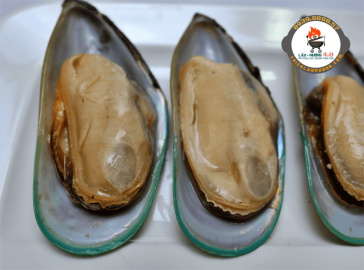 Vẹm xanh - loài hải sản biểu tượng của New Zealand - 500gr